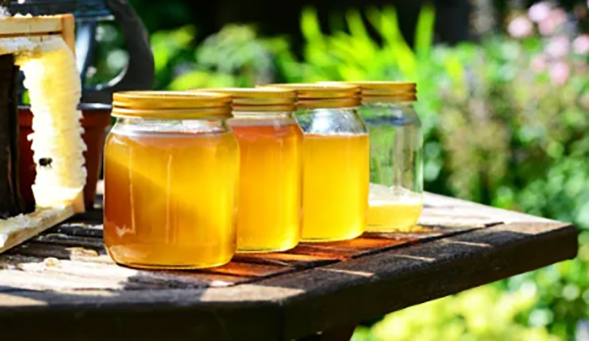 Mel de uruçu - Produzido no Nordeste, é amarelado e tem sabor puxado para o própolis. Sua fabricação é feita por abelhas sem ferrão -  "uruçu" vem do tupi "eiru su", que significa "abelha grande".  Tem bastante água. - Divulgação Agro20