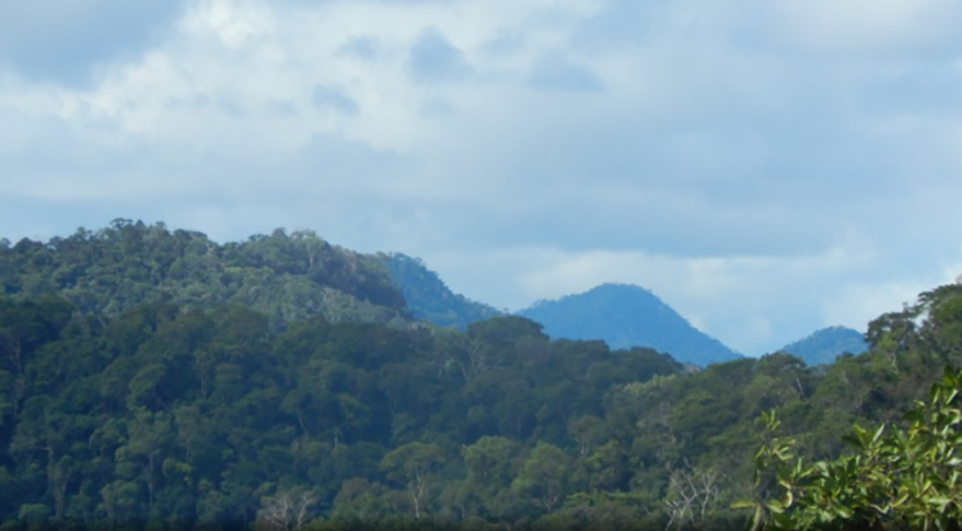  No local fica o Parque Nacional da Serra do Divisor, unidade de conservação que se espalha pelos municípios de Cruzeiro do Sul, Mâncio Lima, Marechal Thaumaturgo, Porto Walter e Rodrigues Alves. O ponto mais elevado da cordilheira tem 609m de altitude.  - Divulgação tripadvisor