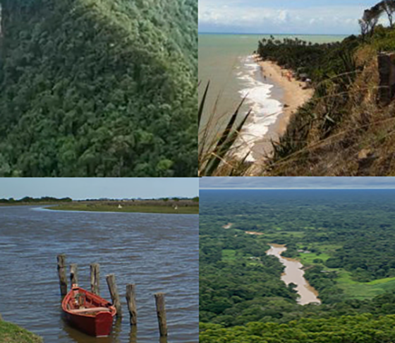 São estes os extremos do nosso Brasil: Norte, Sul, Leste e Oeste. Belos lugares brm distantes uns dos outros no pais, com características próprias e muita beleza natural. - Montagem Flipar
