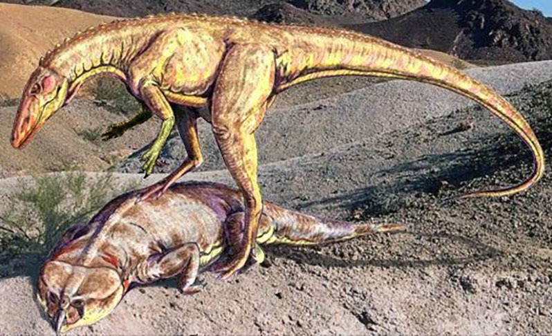 A discussÃ£o sobre o berÃ§o dos dinossauros se deu a partir da descoberta do fÃ³ssil do Estauricossauro (na ilustraÃ§Ã£o, dominando a presa), em 1936, em Santa Maria, um dos mais primitivos da espÃ©cie. O exemplar encontrado era de 230 milhÃµes de anos. 