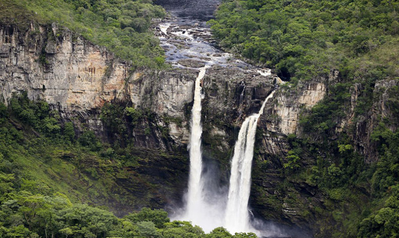 Floresta Amazônica