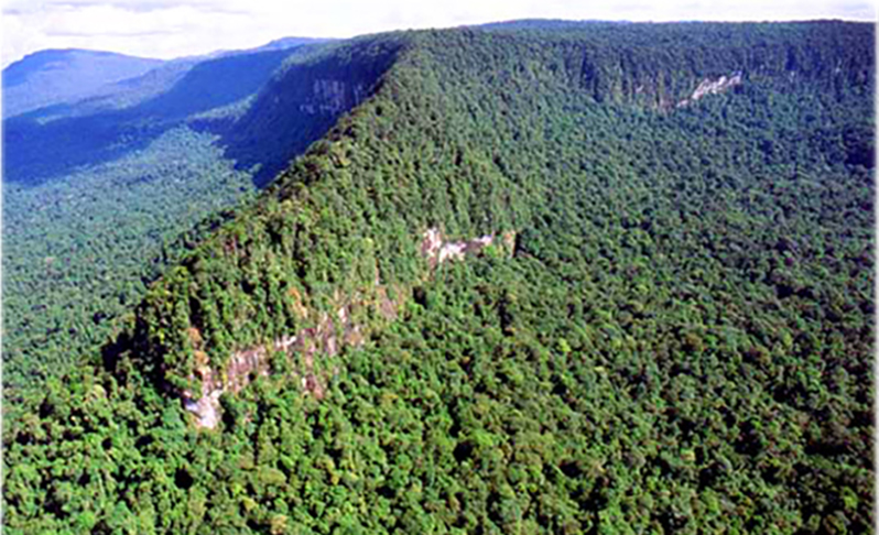 Fica no município de Uiramutã, na Serra do Caburaí, no estado de Roraima, e faz fronteira com a Guiana. O monte tem mais 1.456m de altitude.  - reprodução brasil-turismo.com/roraima
