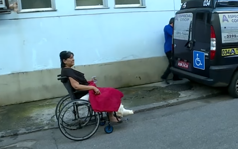 <p>A fotógrafa Lúcia Mello teve traumatismo craniano, fratura exposta e esmagamento da perna esquerda. Fez 17 cirurgias e passou quatro meses internada, até conseguir ter alta.</p>
