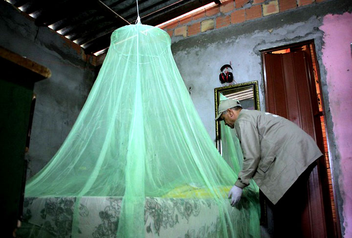 A doença é mais comum em países tropicais, como o Brasil. O mosquito-palha que carrega o protozoário tem hábitos noturnos. Mede de 2 a 3 milímetros e por isso é capaz de atravessar malhas dos mosquiteiros e telas. Ele é amarelado. 