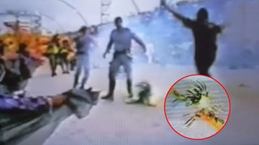 <p>Com a ajuda de um bombeiro, Nani conseguiu retirar o acessório e ainda continuou sambando. Mas logo teve que ser atendida por uma ambulância e foi hospitalizada.</p>
