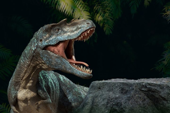 â??Muitos dinossauros ainda serÃ£o descobertos nos prÃ³ximos 100 anosâ?, afirmou Anelli.