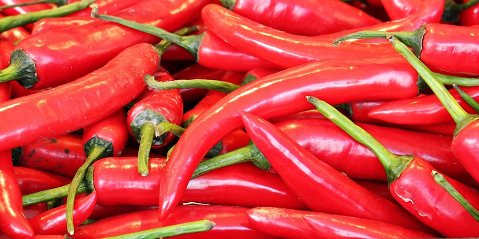 Pimenta: Com cor vibrante , suga energias negativas e afasta o azar. Um pingente em forma de pimenta pode ser uma boa escolha. 