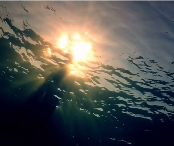 No dia 26/5, as buscas foram encerradas . A família do rapaz agradeceu pelos esforços da equipe e pediu respeito à memória do jovem.