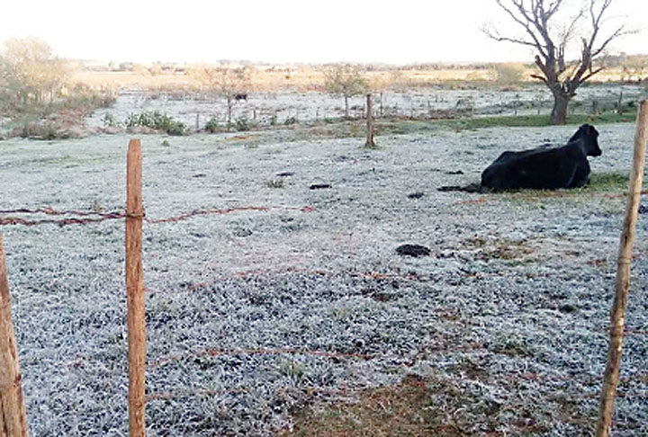 Amambaí (MS) - É a cidade mais fria do Centro-Oeste do Brasil, perto da fronteira com o Paraguai, a uma altitude de 480 metros. Tem 38 mil habitantes. Nos últimos anos, a temperatura cai abaixo de zero grau em alguns dias.