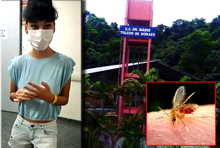 Inseto traiçoeiro: Mosquito fez menina perder parte da perna Inseto traiçoeiro: Mosquito fez menina perder parte da perna