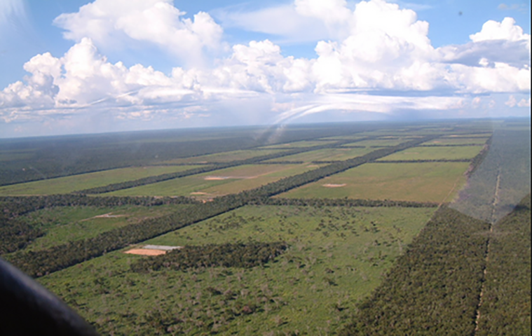 O Chaco tem grande variedade de ecossistemas. E o próprio nome se origina de "checu", da língua quéchua, significando variedade de coisas. 