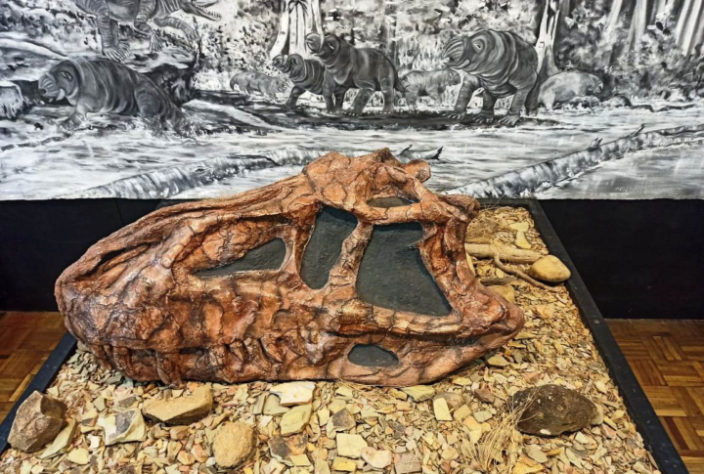 museu paleontológico de Mafra