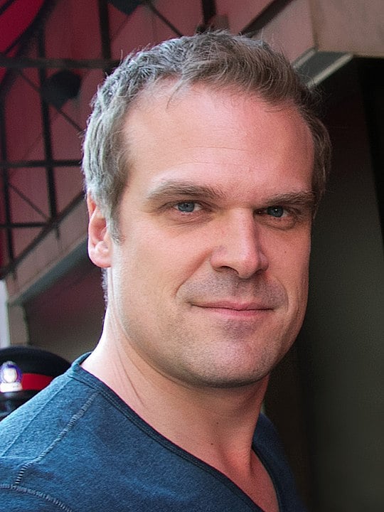 David Harbour também emprestou sua voz a diversas produções, incluindo as animações 'What If…?', 'Comando das Criaturas' e 'Zoopocalipse - Uma Aventura Animal'.