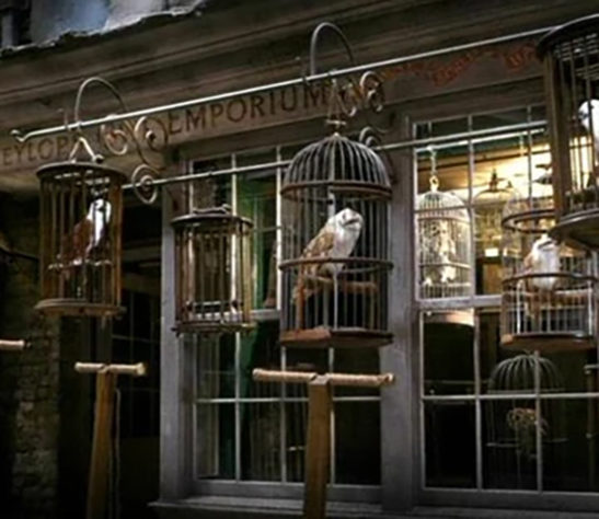 O comércio mágico de Harry Potter