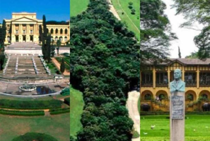 Esses são os melhores parques de São Paulo