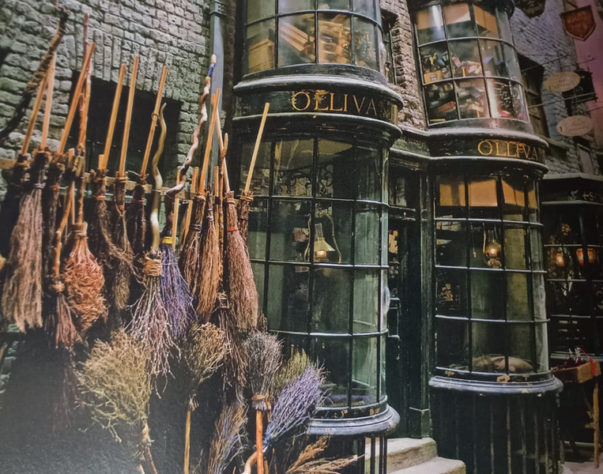  Hogwarts Legacy