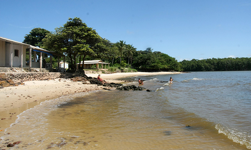 <p>Nascido em Belém, no estado do Pará, em 19/03/1962, Milton Reis da Cunha Júnior passou parte de sua infância na Ilha de Marajó, onde absorveu intensamente a cultura amazônica. A vivência cercada por tradições populares e a exuberância da região marcou profundamente sua sensibilidade artística.</p>
<p>&nbsp;</p>
