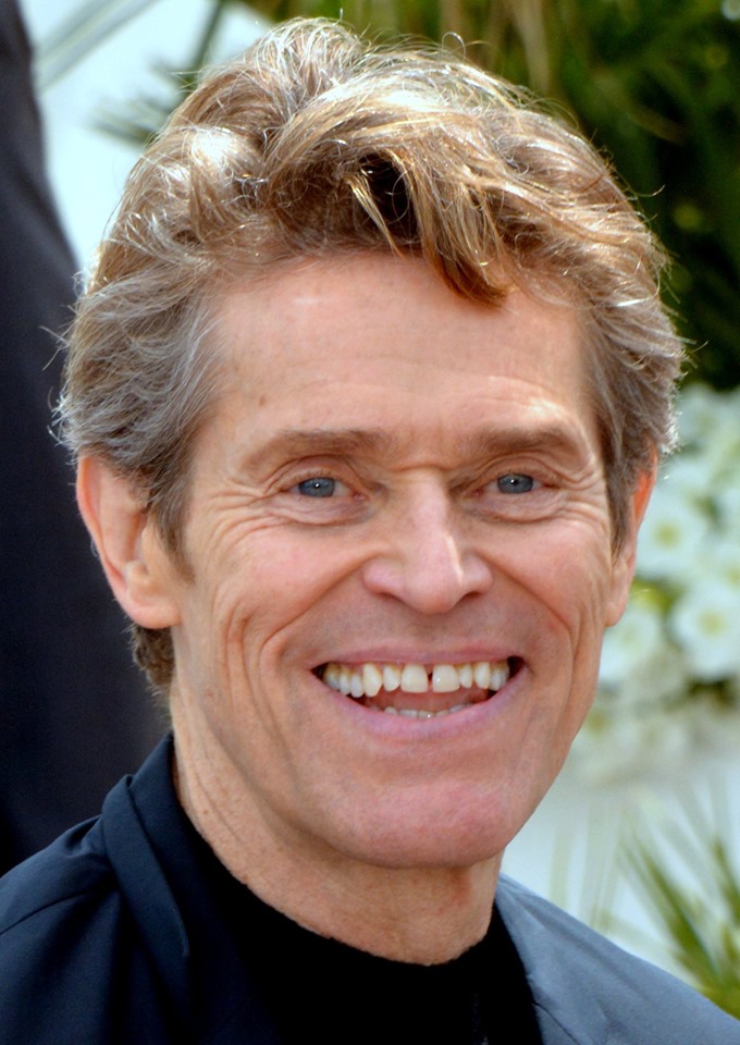 O elenco conta com Charlie Sheen, Willem Dafoe e Tom Berenger. Dafoe construiu uma das carreiras mais respeitadas de sua geração, enquanto Sheen teve uma trajetória marcada por sucesso inicial e polêmicas ao longo dos anos.

