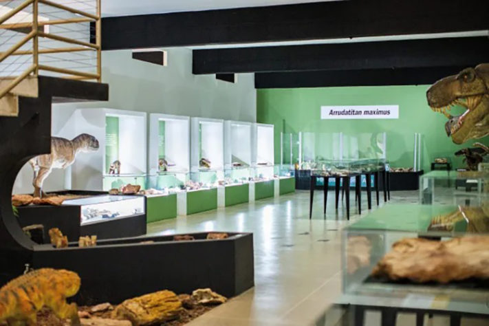museu de paleontologia de monte alto sp