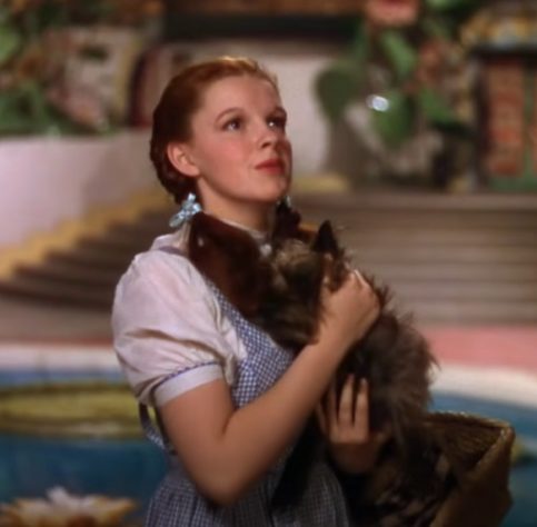 Dorothy - O Mágico de Oz