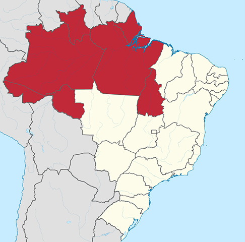 Já a região Norte lidera com a taxa de 1,89 filho por mulher, de acordo com o Censo de 2022. 
