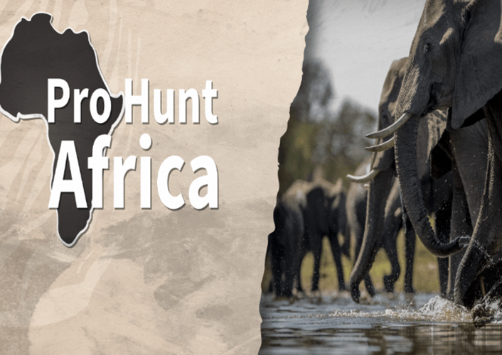 Sua empresa, Pro Hunt Africa (Pró-Caça na África, numa tradução livre) cobrava ainda um preço inicial de adesão de 1.500 dólares, além de 350 dólares por hora extra. 