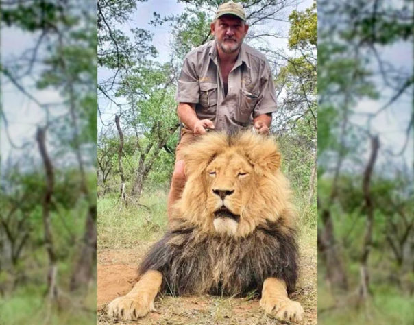 Caçador foi caçado: a morte de um matador de animais na África