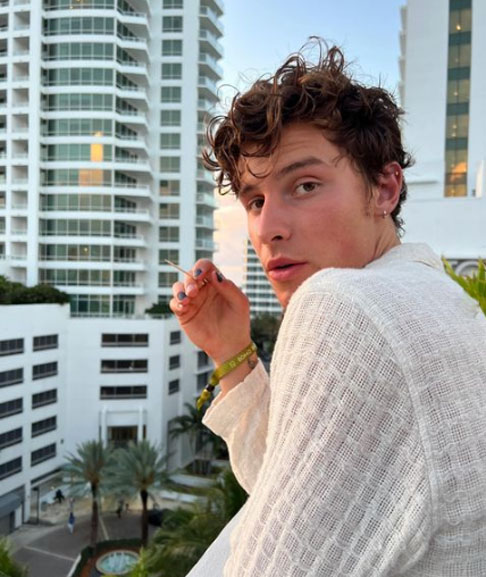 Shawn Mendes nasceu em 08/08/1998 na pequena cidade de Pickring, no estado canadense de Ontário. Cantor, compositor e modelo, ele começou a ficar famoso em 2013, quando postou vídeos de cover no aplicativo Vine. 
