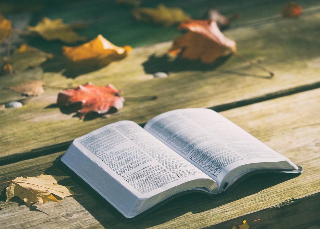 O estudo mostra que acreditar em Deus não obriga alguém a ser religioso. Muitos demonstraram que têm dé numa força soberana que rege o mundo, mas não frequentam nenhum tipo de instituição religiosa. - Imagem de Pexels por Pixabay 