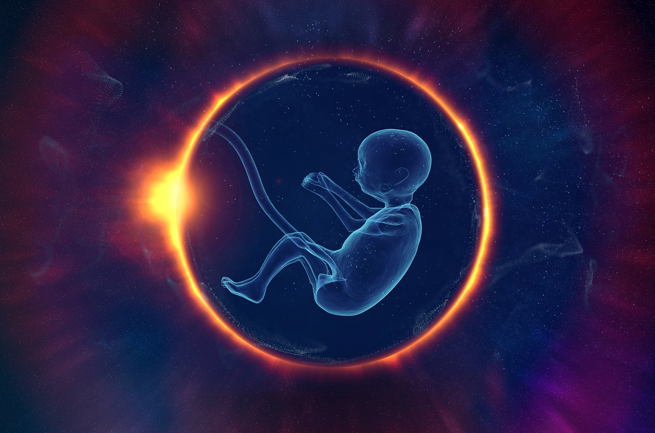 Mães e pais que fazem fertilização in vitro podem obter uma análise dos embriões antes da implantação. 