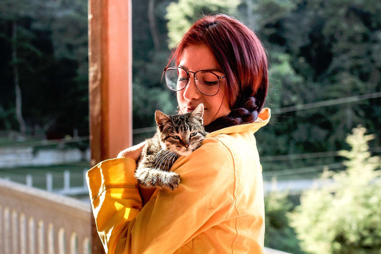 Além disso, a demanda por produtos especializados para felinos, como arranhadores, brinquedos e locais elevados, também aumentou, visando garantir o bem-estar desses animais.  -StockSnap pixabay