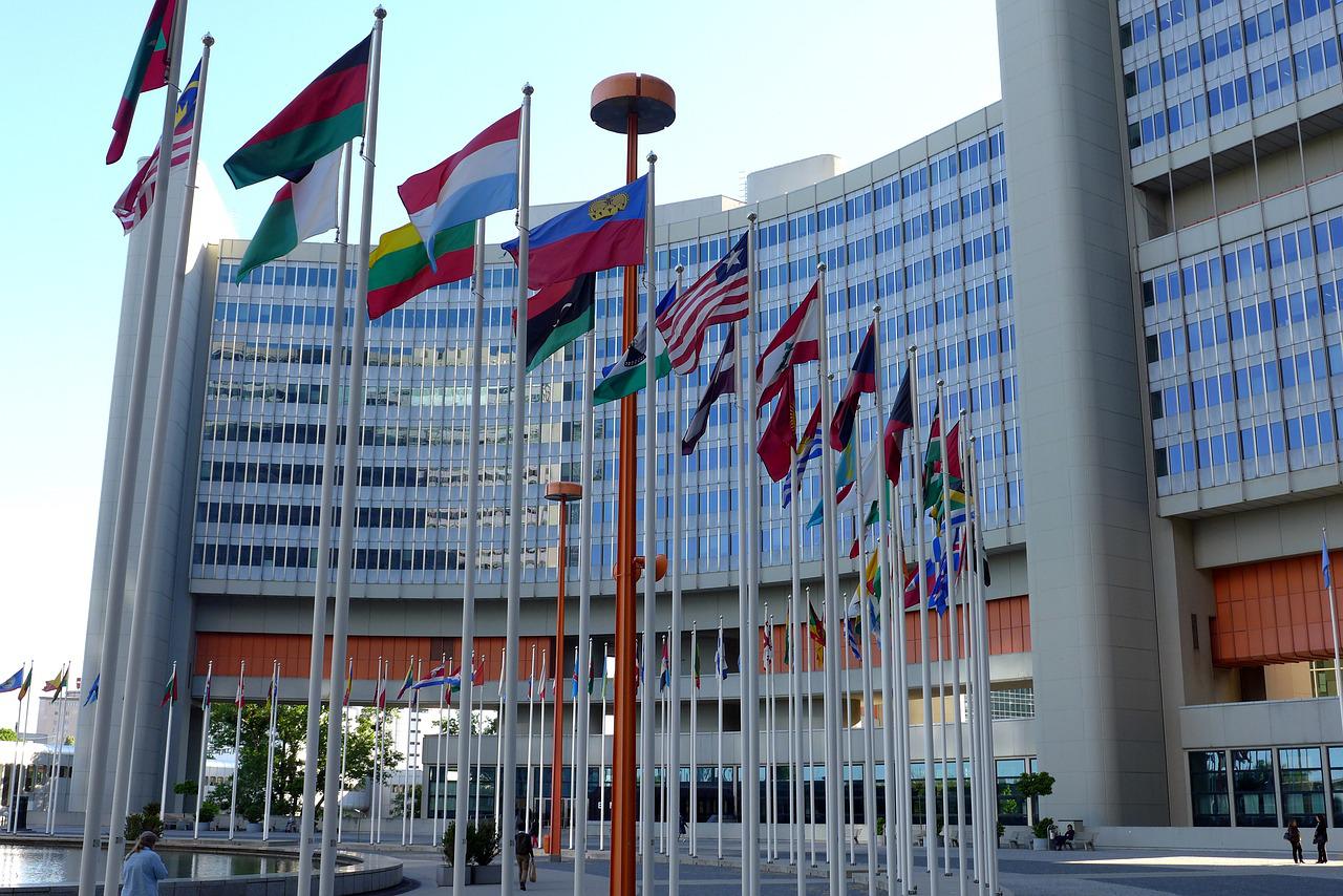 Realizado para coincidir com a COP16 da ONU sobre biodiversidade, o estudo estima que 16 mil das 58 mil espécies de árvores existentes estão ameaçadas devido ao desmatamento, agricultura, expansão urbana e mudanças climáticas.