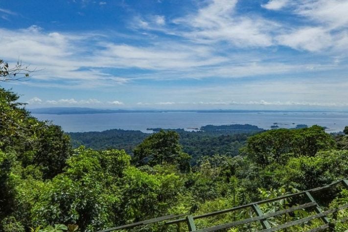 Suriname - Maior cobertura (proporcional) de florestas do planeta. Mais de 90% do território são cobertos por floresta. 
