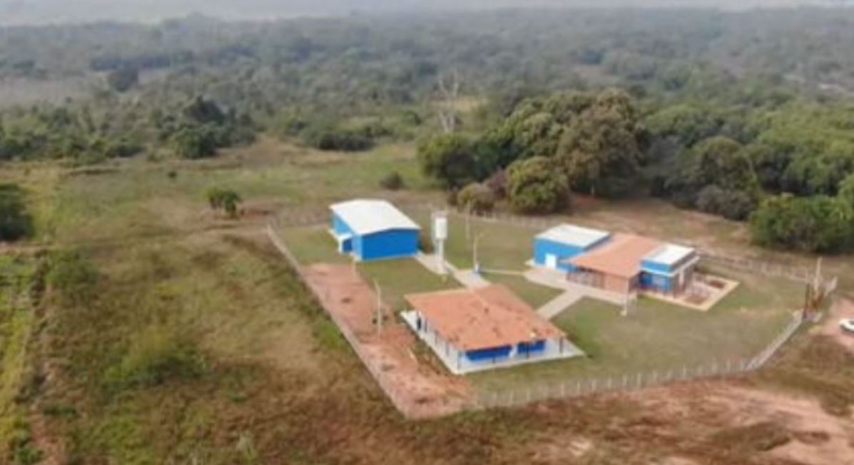 Em Mato Grosso do Sul, eles foram encontrados por funcionários de uma empresa de celulose durante um monitoramento de rotina. 