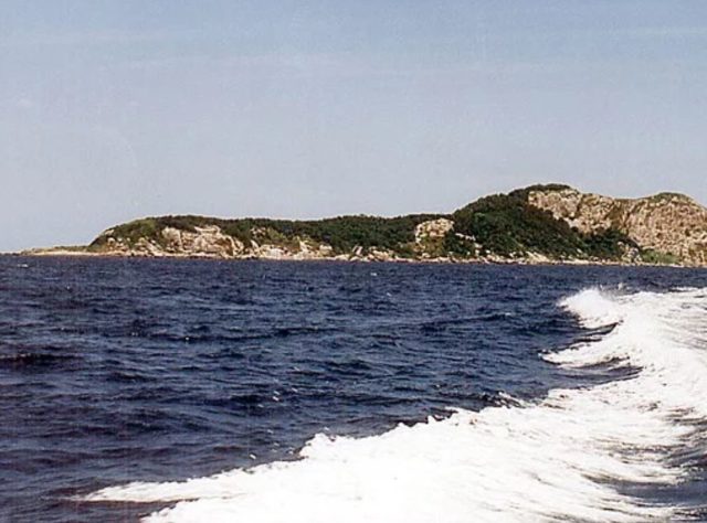 ilha com cobras 