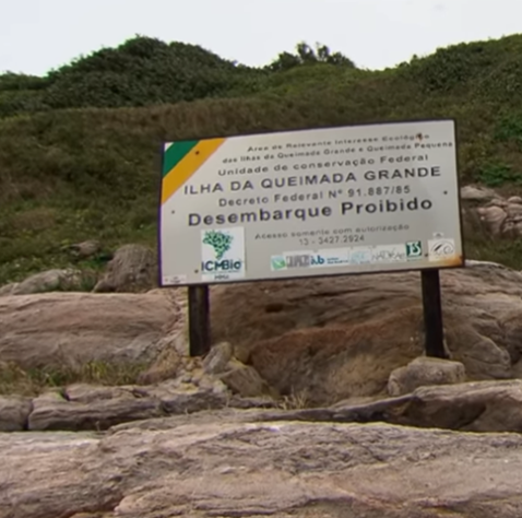 ilha com cobras 