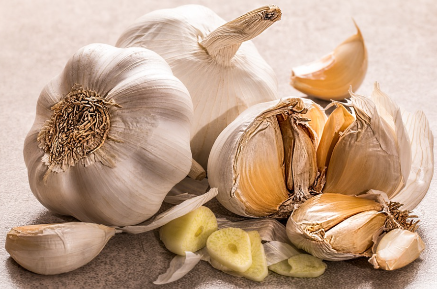 O alho também não gosta de geladeira. O ideal é armazenar em local arejado e escuro, o que ajuda a evitar brotos precoces.