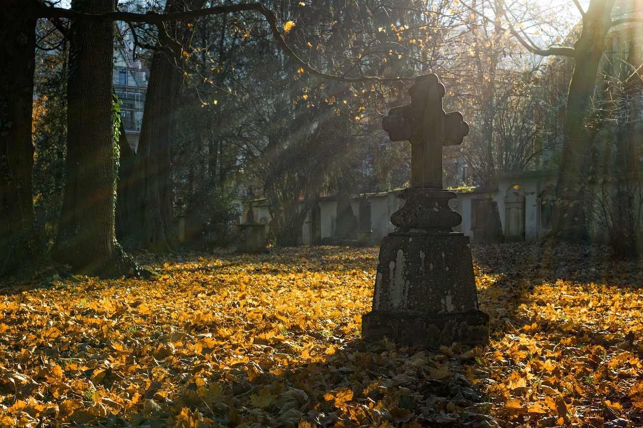 Nele, estava escrito sobre uma pessoa que morreu durante um pesadelo, sendo que, antes de falecer, o jovem disse, desesesperado, que não queria dormir pois tinha muito pavor que a criatura que o perseguia realmente o matasse nos seus sonhos.