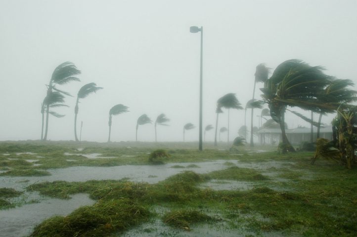 Para ser considerado um tufÃ£o, os ventos da tempestade devem atingir pelo menos 119 km/h. 