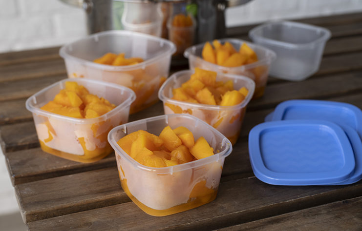 alimentos congelados 
