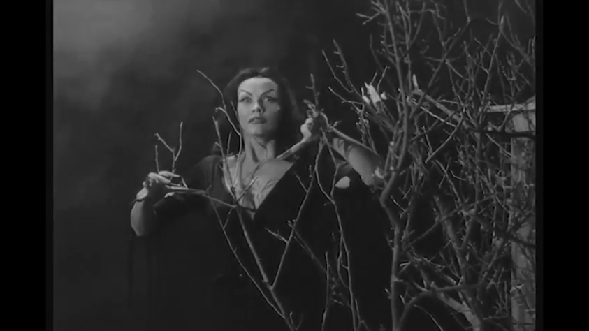 Ed Wood