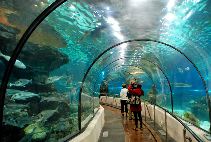 A cidade acomoda o aquÃ¡rio mais rico no mundo em espÃ©cies de peixes do MediterrÃ¢neo. Ao todo o espaÃ§o conta com 21 grandes aquÃ¡rios, 11 mil animais de 450 espÃ©cies distintas. Ã? um importante centro recreativo e educacional da Europa com visitas sensoriais.