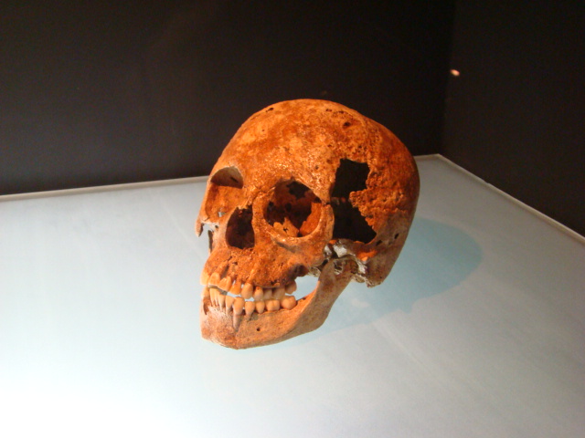 O Museu do Homem Americano fica no parque e tem reservas tÃ©cnicas arqueolÃ³gicas, paleontolÃ³gicas, zoolÃ³gicas e botÃ¢nicas. E um vasto acervo em exposiÃ§Ã£o. 