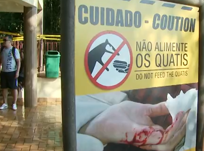 Placas advertem para que as pessoas não alimentem os quatis. Com isso, elas evitam a aproximação dos animais. -reprodução de TV