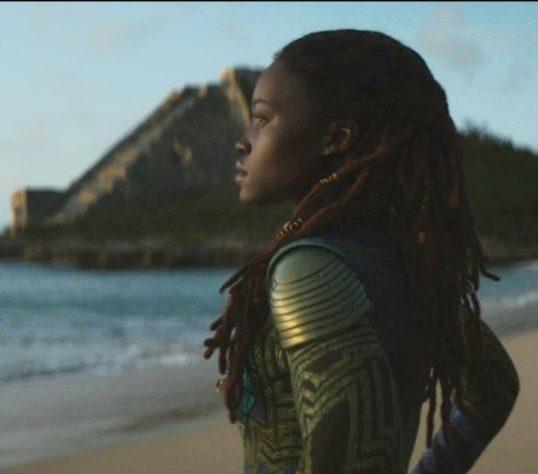 Pantera Negra Wakanda Para Sempre