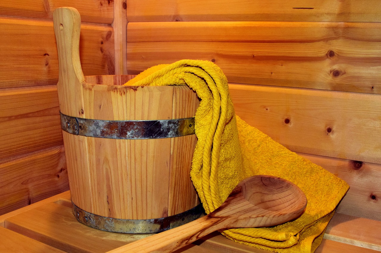 Recomenda-se usar o balde com água fria para dar aquela refrescada após o período de intenso suor. -Imagem de Ulrike Leone por Pixabay 
