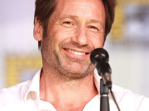 David Duchovny: de Arquivo X à carreira literária e musical