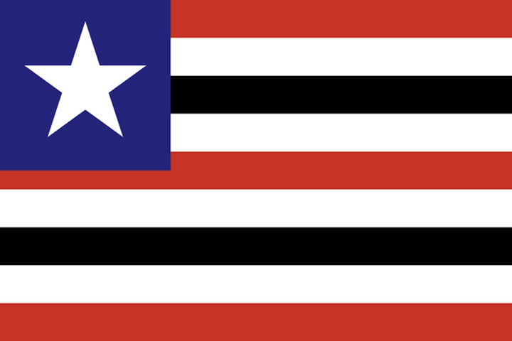 Maranhão (MA) - Adoção: 6 de dezembro de 1889. Representação: As listras simbolizam os diversos grupos étnicos e o vermelho, a luta pela independência.
-