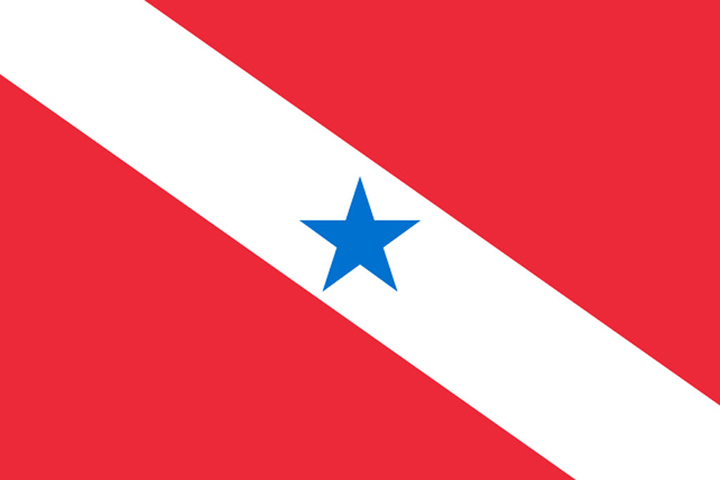 Pará (PA) - Adoção: 16 de novembro de 1889. Representação: A faixa branca simboliza o Rio Amazonas, o vermelho a luta, e a estrela Belém, capital do estado.
-