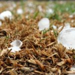 chuva de granizo